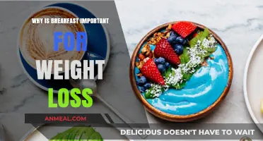 Boost Metabolism, Shed Pounds: The Crucial Role of Breakfast in Weight Loss