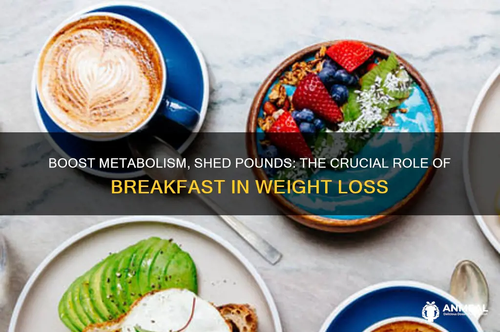 why is breakfast important for weight loss