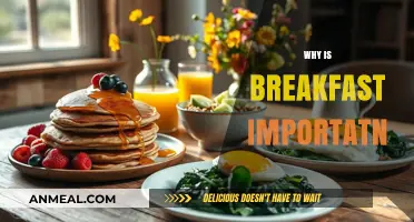 Fuel Your Day: The Vital Importance of Eating Breakfast