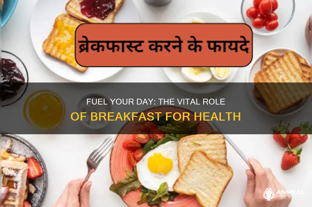 why is breakfast inportant