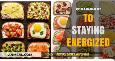 Fuel Your Day: Why Breakfast is Essential for Sustained Energy
