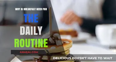 Fuel Your Day: The Essential Role of Breakfast in Daily Routines