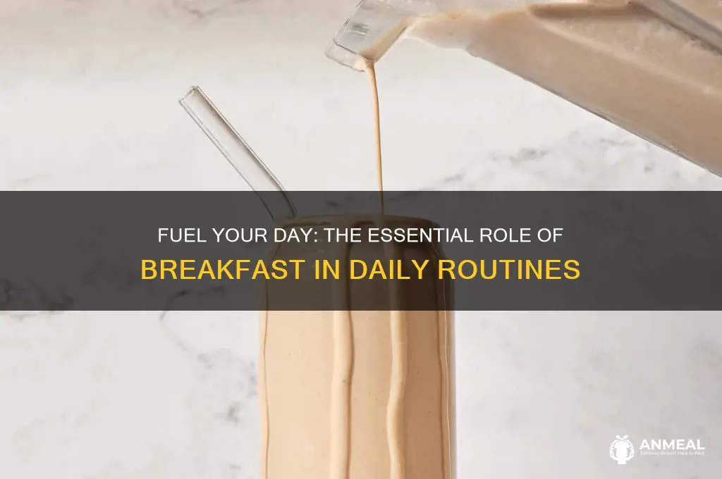 why is breakfast need for the daily routine