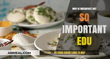 Debunking Breakfast Myths: Why Skipping Morning Meals Isn't Always Bad