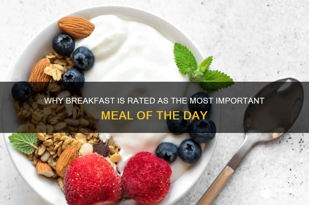 why is breakfast rateed