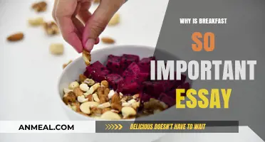 The Vital Role of Breakfast: Fueling Your Day for Success