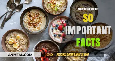 Why Breakfast Matters: Unlocking Energy, Focus, and Daily Health Benefits