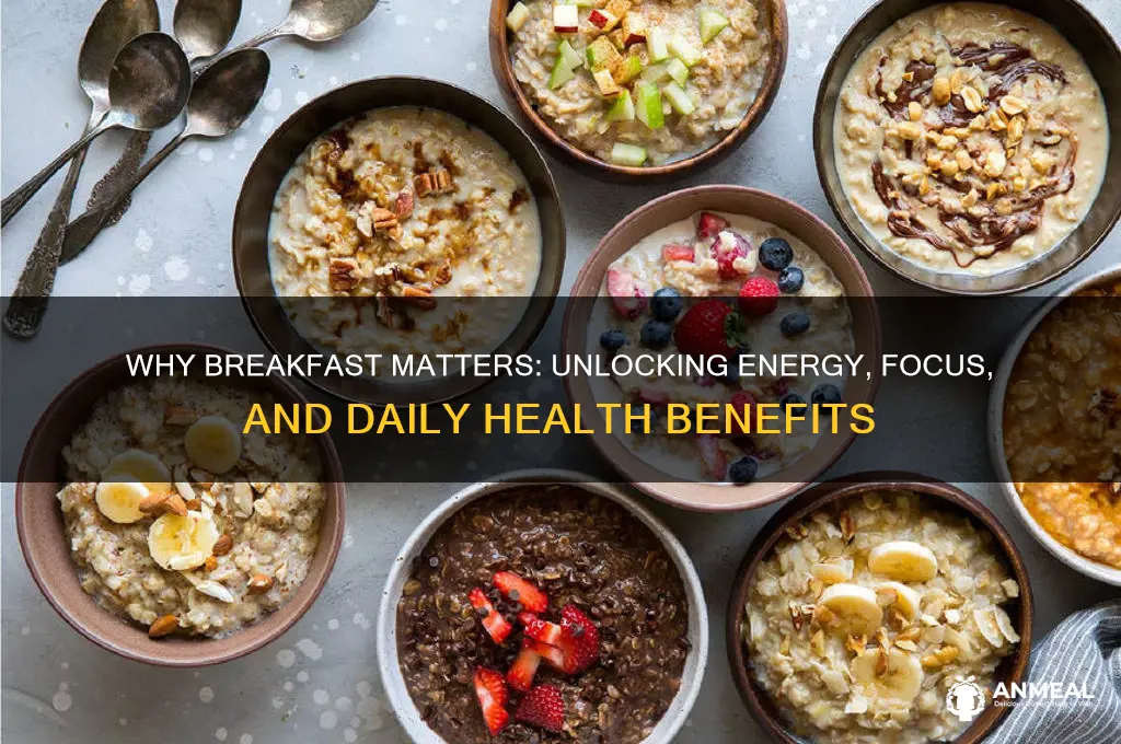 why is breakfast so important facts