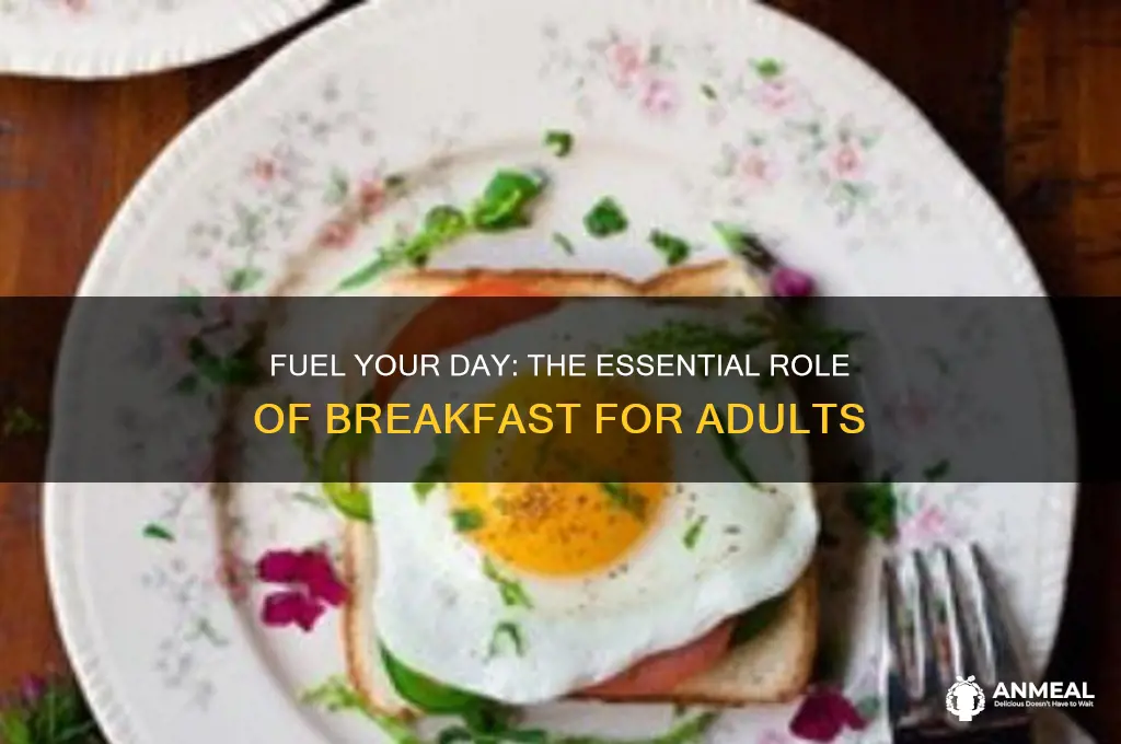 why is breakfast so important for adults