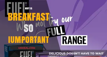 The Power of Breakfast: Fueling Your Day for Success