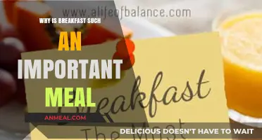 Morning Fuel: Breakfast Powers Your Day