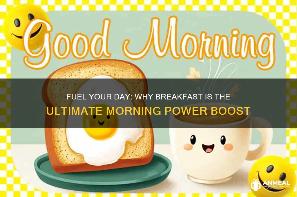 why is breakfast the most important part of the day