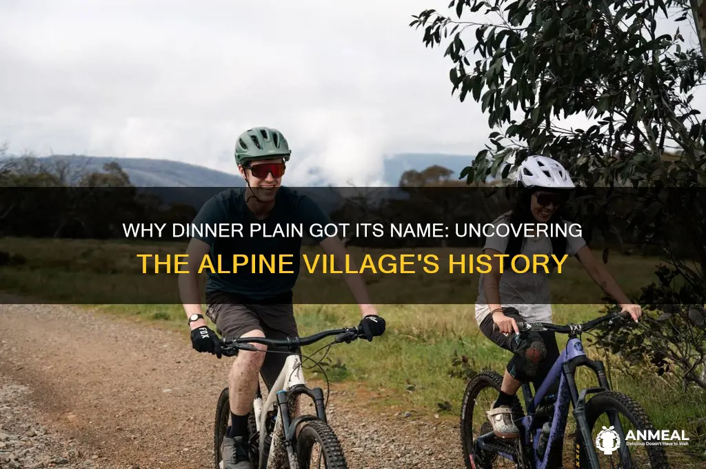 why is dinner plain called dinner plain