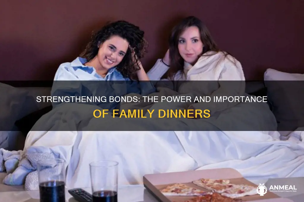 why is family dinner important