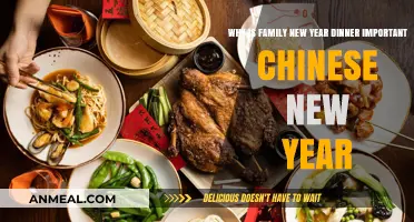 Family New Year Dinner: Heart of Chinese New Year Traditions
