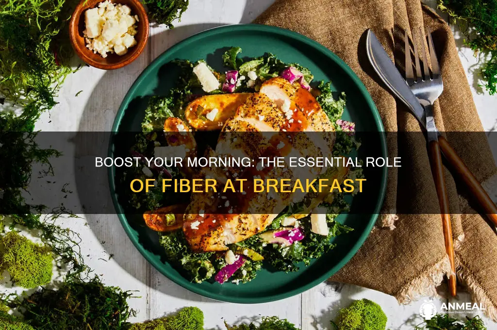 why is fiber essential for breakfast