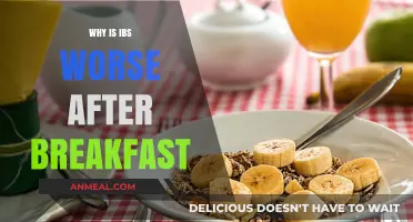 Why IBS Symptoms Flare After Breakfast: Causes and Solutions