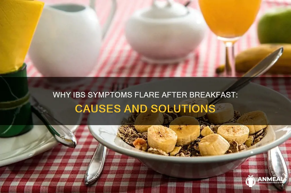 why is ibs worse after breakfast
