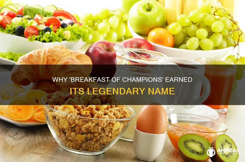 why is it called breakfast of champions