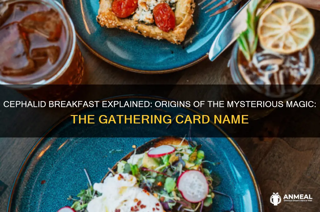 why is it called cephalid breakfast