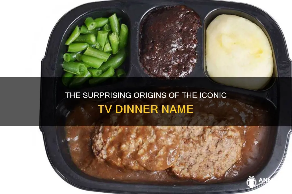 why is it called tv dinner