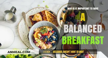 Fuel Your Day Right: The Importance of a Balanced Breakfast