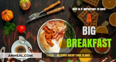 Boost Your Day: The Importance of a Big Breakfast