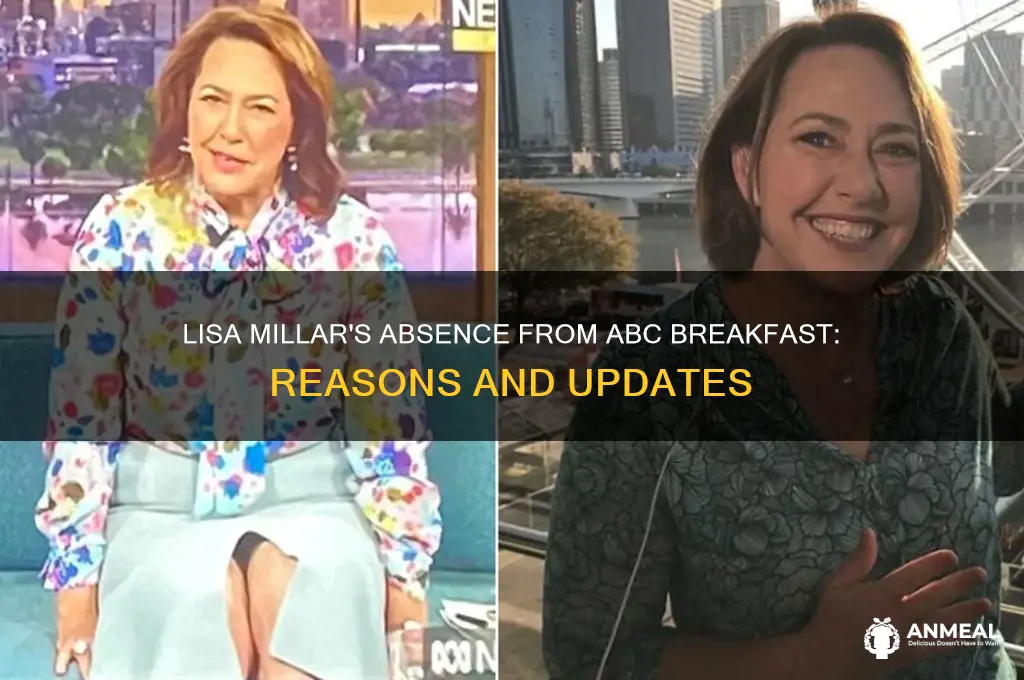 why is lisa millar not on abc breakfast
