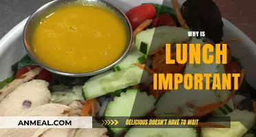 Nourishing Your Day: The Power of Lunch