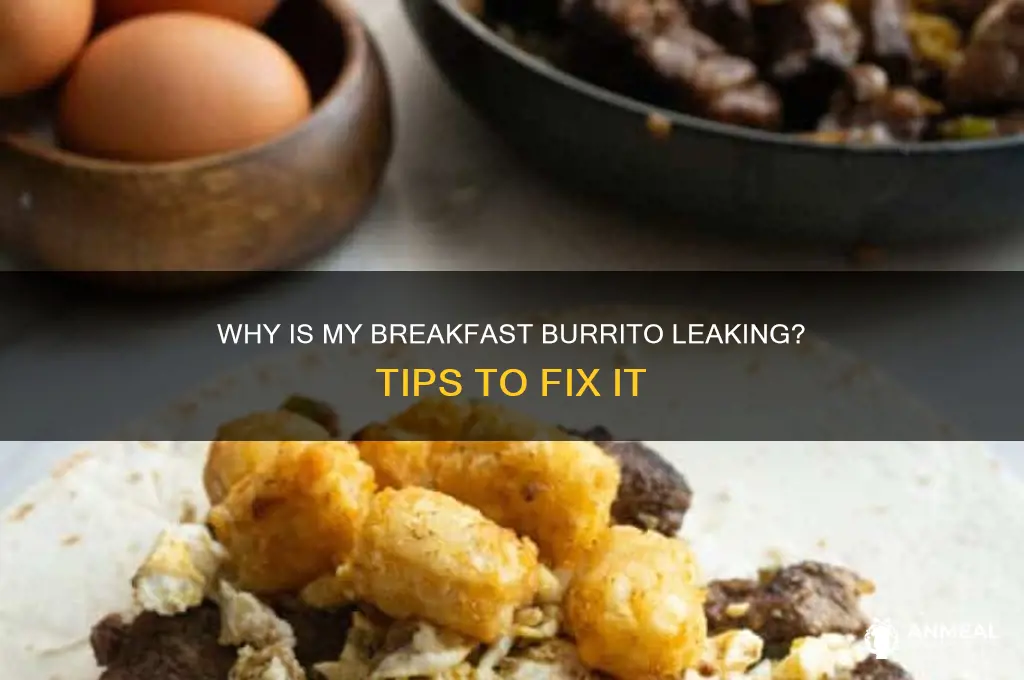 why is my breakfast burrito leaking