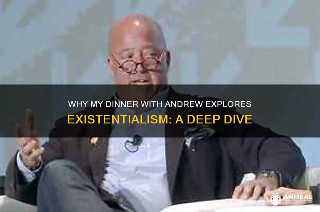 why is my dinner with andrew about existentilism