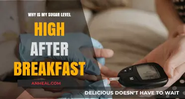 High Morning Sugar Levels: Causes and Solutions After Breakfast