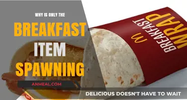 Why Only Breakfast Items Spawn: Unraveling the Glitch Mystery