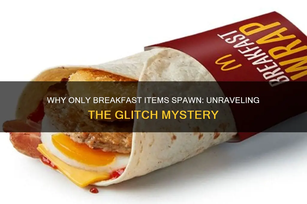 why is only the breakfast item spawning
