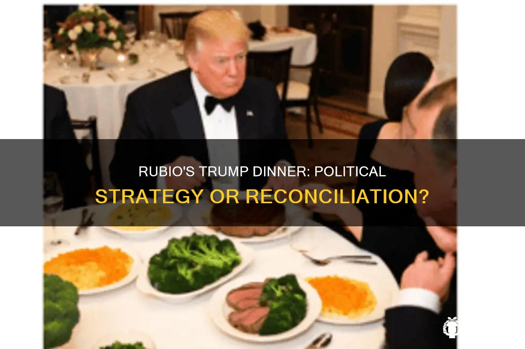 why is rubio having dinner with trump