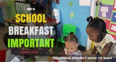 Fuel for Learning: The Essential Role of School Breakfast Programs