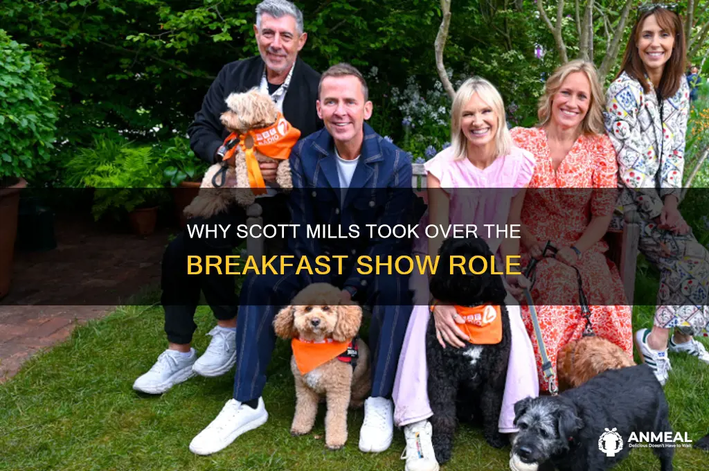 why is scott mills doing breakfast show