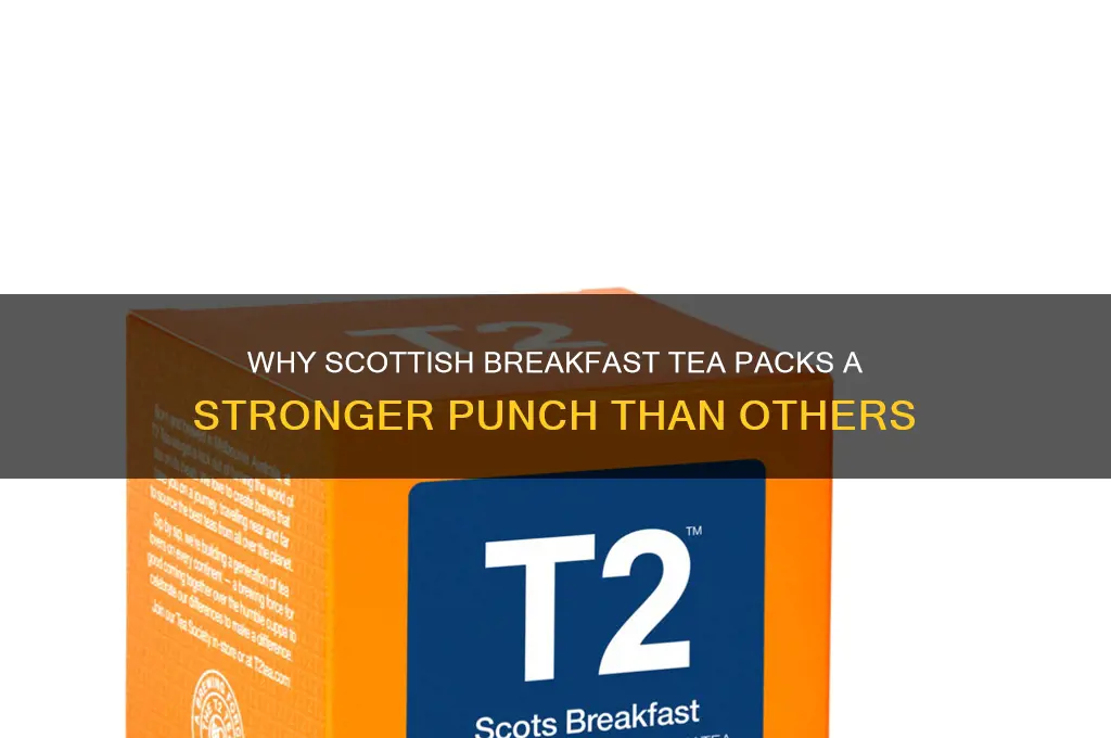 why is scottish breakfast tea stronger