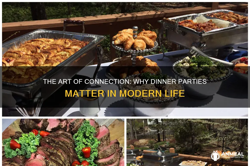 why is the dinner party important