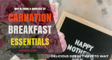 Carnation Breakfast Essentials Shortage: Causes and Consumer Impact Explained