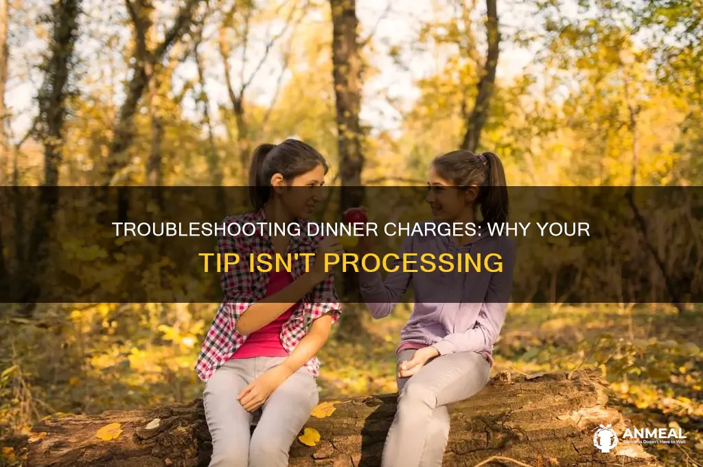 why isnt my tip going through when i charge dinner