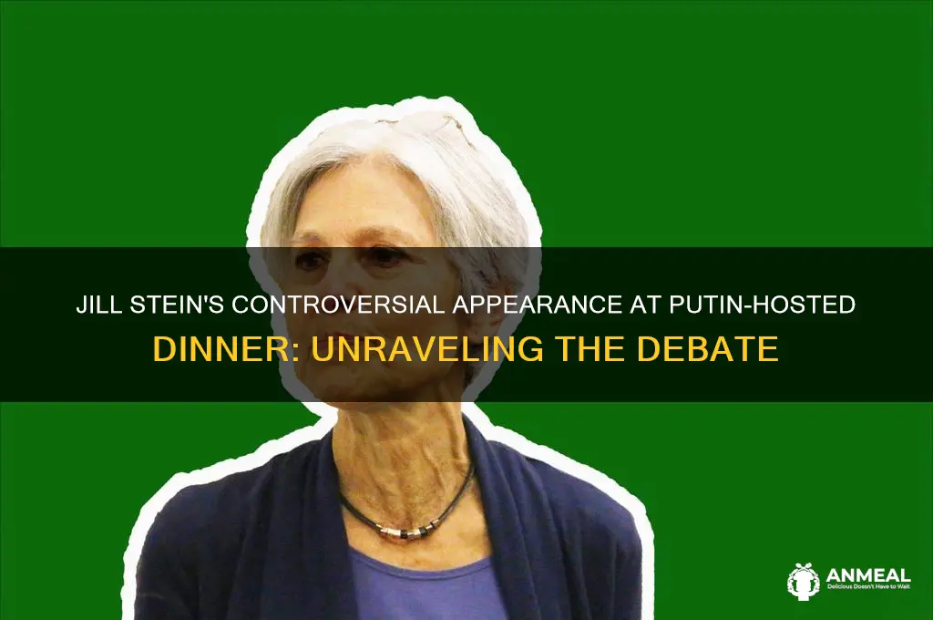 why jill stein at putin dinner