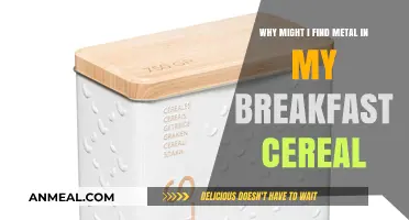 Unexpected Crunch: Metal in Breakfast Cereal Explained