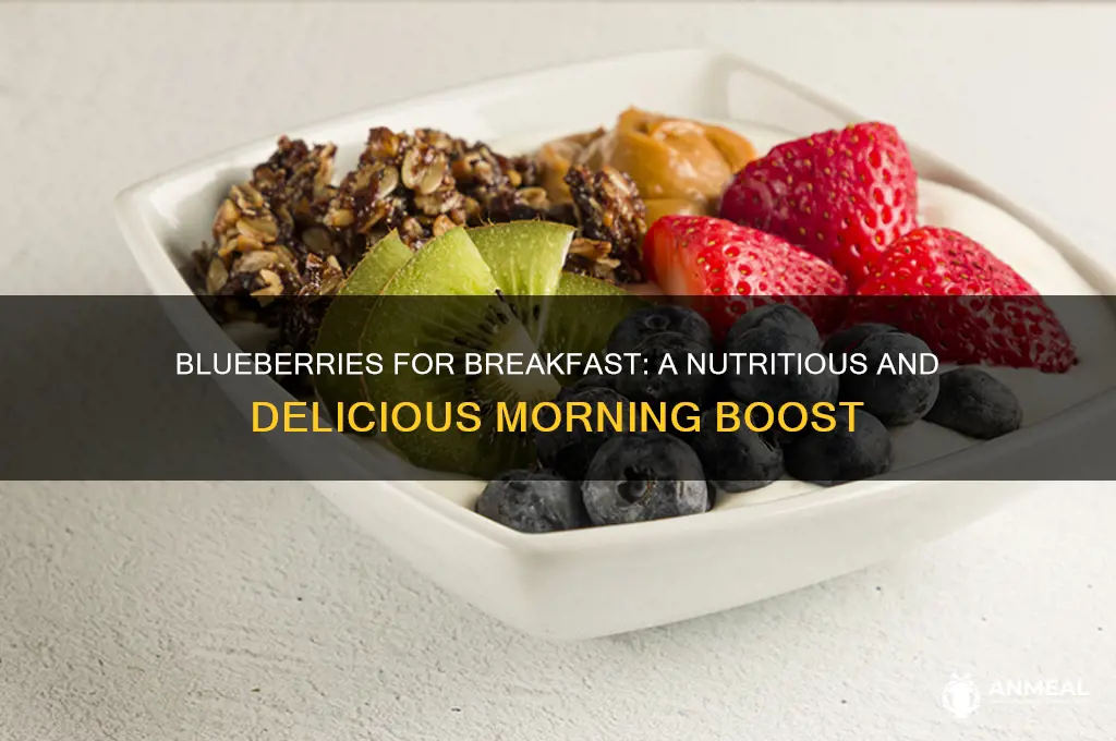 why not have blueberries for breakfast