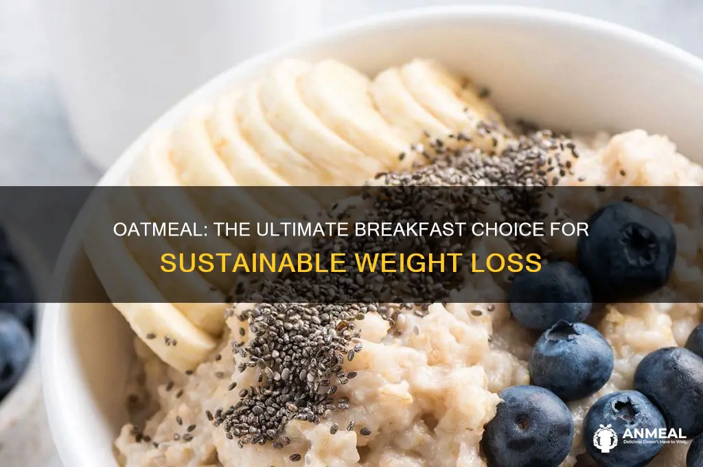 why oatmeal is the best breakfast for weight loss