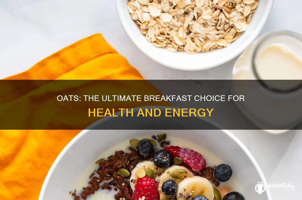 why oats are an amazing breakfast
