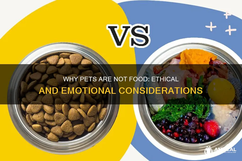 why pet are not hunguy for dinner