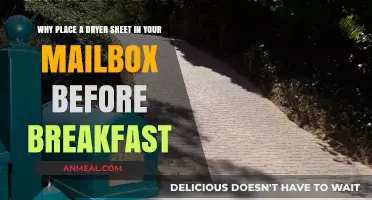 Dryer Sheet in Mailbox: A Morning Hack You Need to Try