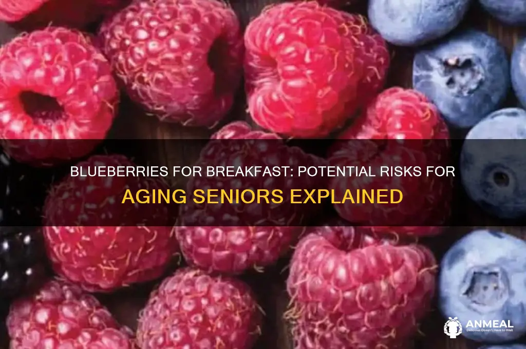 why should aging seniors avoid blueberries for breakfast