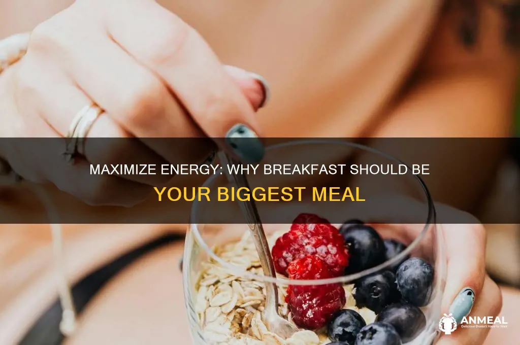 why should breakfast be the biggest meal